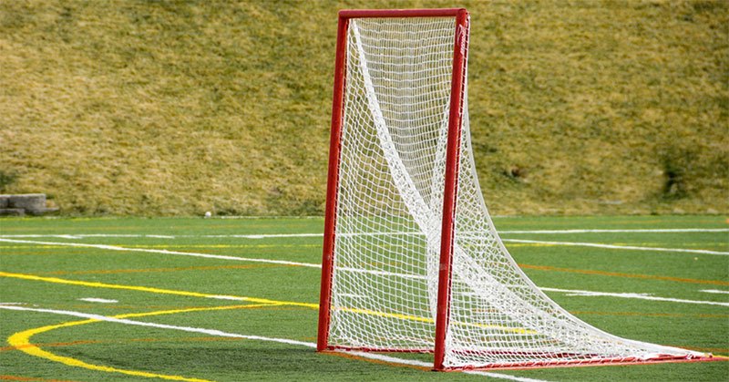 Best lacrosse goals & net